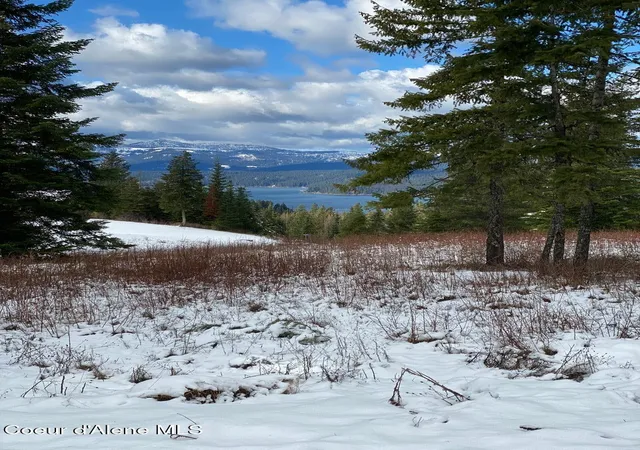 2nd image of L4 B1 Wailea Rd, Harrison, ID 83833 | MLS# 26-2488