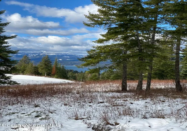 4th image of L4 B1 Wailea Rd, Harrison, ID 83833 | MLS# 26-2488
