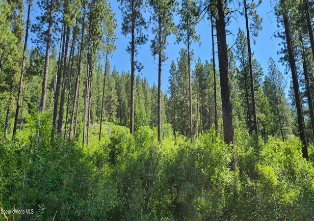 Photo 3 of Land for sale at Nna Snowcat Ln Tract 4, Bonners Ferry, ID 83805 | MLS# 26-2454 | Listing updated on 2026-05-08