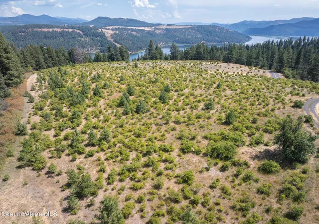 25th image of L3 S Bella Vista Rd, Worley, ID 83876 | MLS# 26-2479