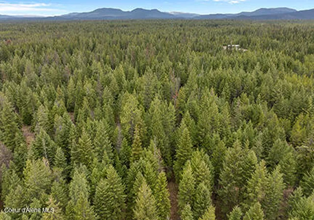4th image of Nna N Lewellen Creek 2N Rd, Athol, ID 83801 | MLS# 26-2501