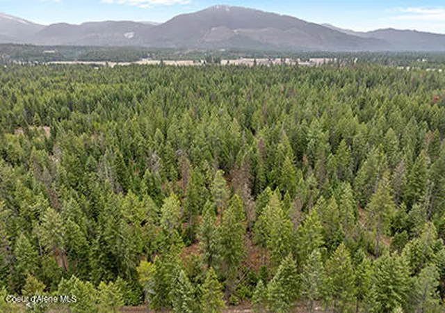 5th image of Nna N Lewellen Creek 2N Rd, Athol, ID 83801 | MLS# 26-2501