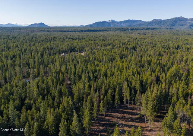 Photo 3 of Land for sale at Nka Warbler Way, Spirit Lake, ID 83869 | MLS# 26-2535 | Listing updated on 2026-08-27