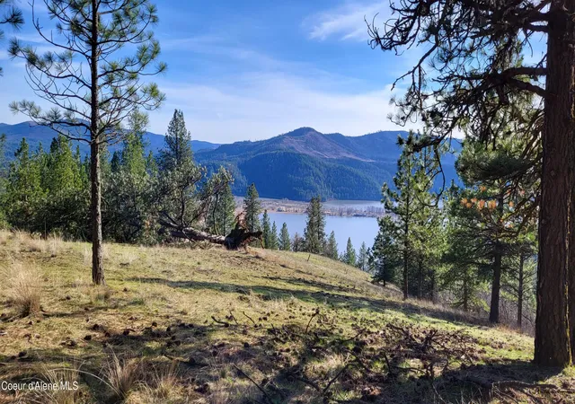 Homes for sale in Harrison, ID | Lot 21 E Holiday Rd, Harrison, ID 83833 | MLS# 26-2570