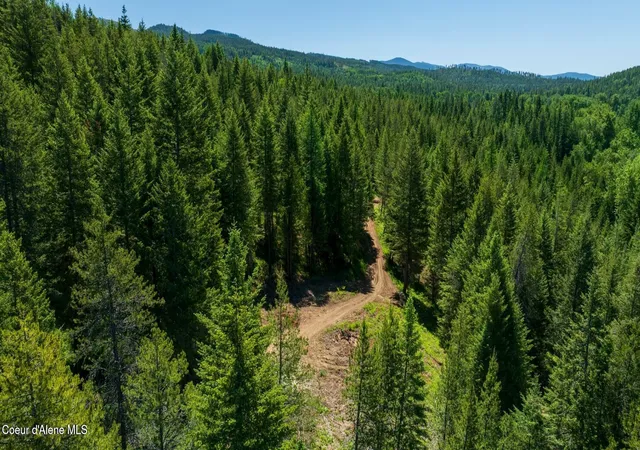 1st image of Tbd Kreiger Creek Rd Lot 1, Careywood, ID 83809 | MLS# 26-2791