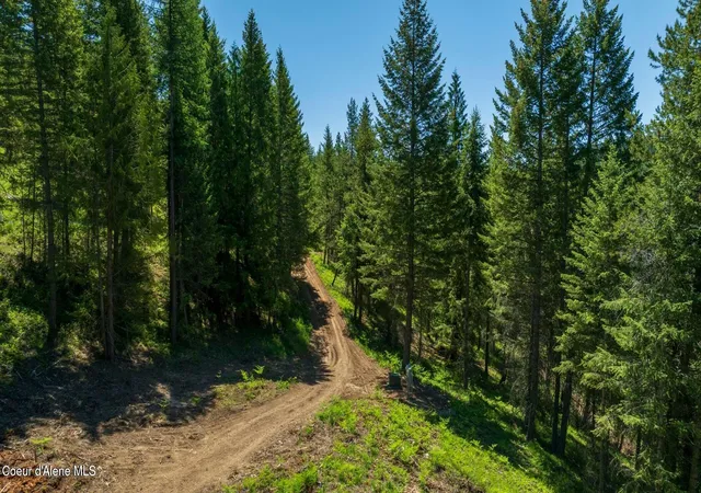 2nd image of Tbd Kreiger Creek Rd Lot 1, Careywood, ID 83809 | MLS# 26-2791