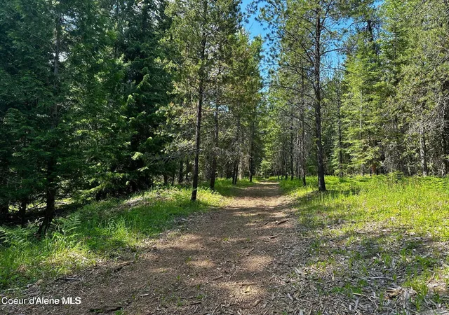 Photo 3 of Sale Pending at Tbd Kreiger Crk Rd Lot 1, Careywood, ID 83809 | MLS# 26-2791 | Listing updated on 2026-09-03