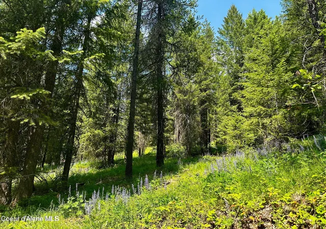 Photo 3 of Sale Pending at Tbd Kreiger Crk Rd Lot 1, Careywood, ID 83809 | MLS# 26-2791 | Listing updated on 2026-09-03