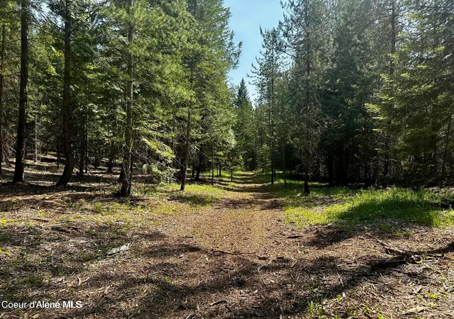 Photo 4 of Sale Pending at Tbd Kreiger Crk Rd Lot 1, Careywood, ID 83809 | MLS# 26-2791 | Listing updated on 2026-09-03