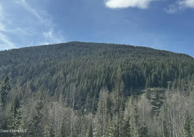 Homes for sale in Bonners Ferry, ID | Nna Westside Rd Parcel 6, Bonners Ferry, ID 83805 | MLS# 26-2620
