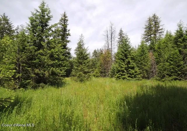 3rd image of Nka Antler Ln, Spirit Lake, ID 83869 | MLS# 26-2580