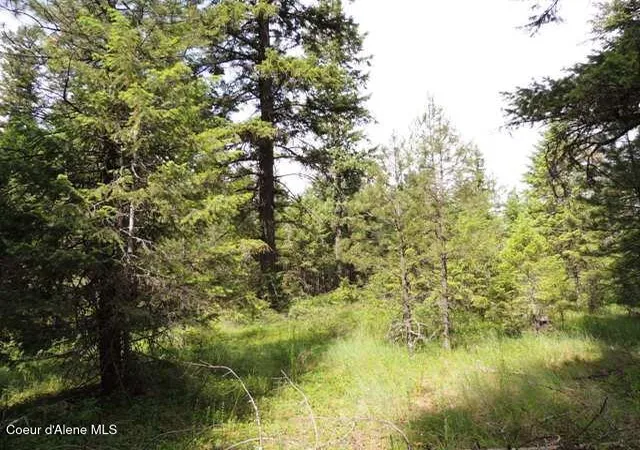 5th image of Nka Antler Ln, Spirit Lake, ID 83869 | MLS# 26-2580
