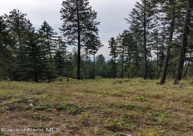 14th image of Nna 10 Ac New Chisholm Wy, Bonners Ferry, ID 83805 | MLS# 26-2586