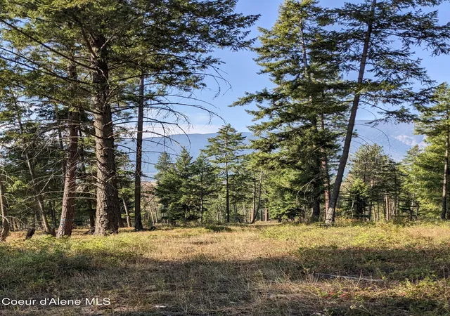1st image of Nna 10 Ac New Chisholm Wy, Bonners Ferry, ID 83805 | MLS# 26-2586