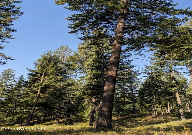 2nd image of Nna 10 Ac New Chisholm Wy, Bonners Ferry, ID 83805 | MLS# 26-2586