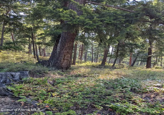Photo 3 of Land for sale at Nna 10 Ac New Chisholm Way, Bonners Ferry, ID 83805 | MLS# 26-2586 | Listing updated on 2026-05-08