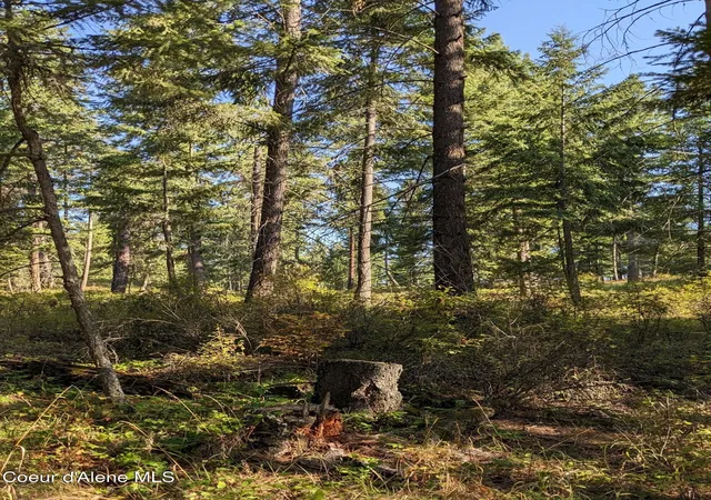 Photo 3 of Land for sale at Nna 10 Ac New Chisholm Way, Bonners Ferry, ID 83805 | MLS# 26-2586 | Listing updated on 2026-05-08