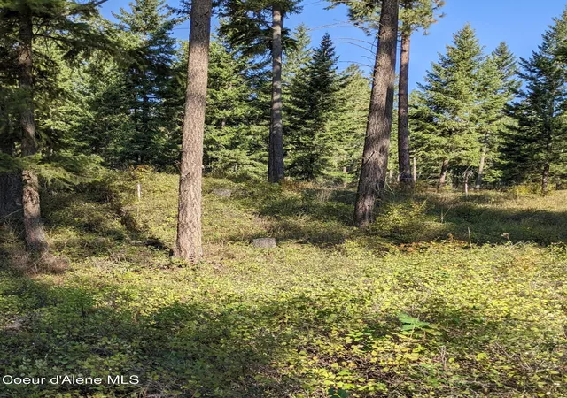 Photo 4 of Land for sale at Nna 10 Ac New Chisholm Way, Bonners Ferry, ID 83805 | MLS# 26-2586 | Listing updated on 2026-05-08