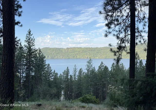 Homes for sale in Harrison, ID | 2396 E Crows Nest Rd, Harrison, ID 83833 | MLS# 26-2614