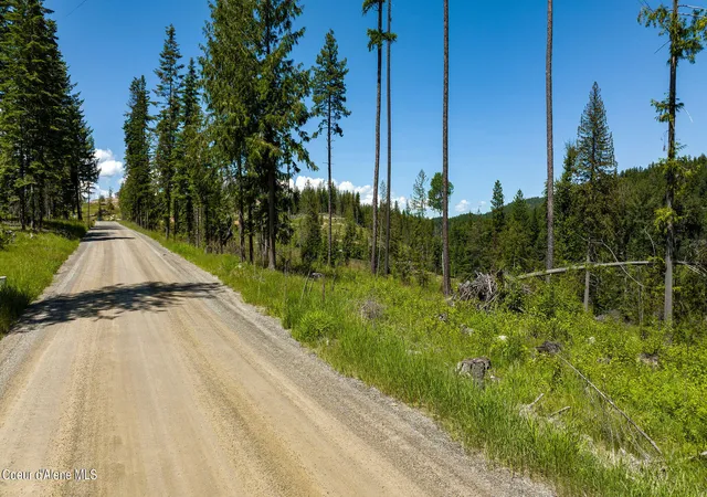 Homes for sale in Sandpoint, ID | 8360 Sunnyside Rd, Sandpoint, ID 83864 | MLS# 26-2628