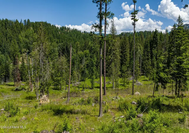 Homes for sale in Sandpoint, ID | 8360 Sunnyside Rd, Sandpoint, ID 83864 | MLS# 26-2628