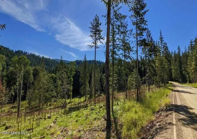 Homes for sale in Sandpoint, ID | 8360 Sunnyside Rd, Sandpoint, ID 83864 | MLS# 26-2628