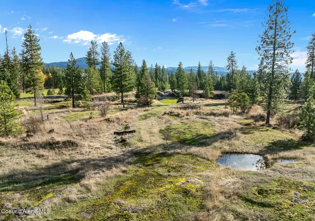 4th image of 48 Jackleg Trl, Harrison, ID 83833 | MLS# 26-2655