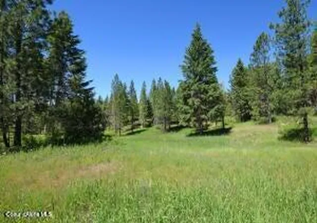 Homes for sale in Bonners Ferry, ID | Nna Monarch Pl, Bonners Ferry, ID 83805 | MLS# 26-2664
