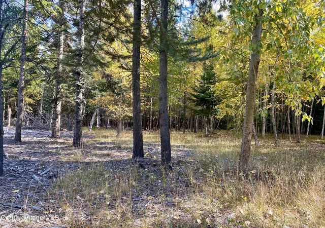 Homes for sale in Naples, ID | Nna Cougar Road Lot 1A, Naples, ID 83847 | MLS# 26-2687