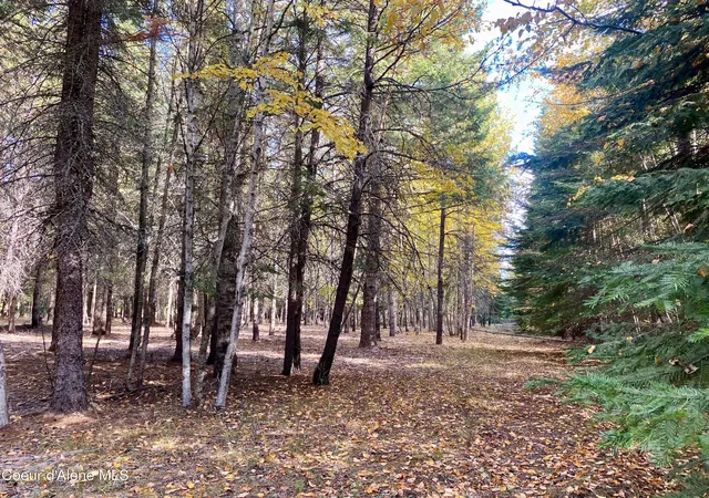 Homes for sale in Naples, ID | Nna Cougar Road Lot 1A, Naples, ID 83847 | MLS# 26-2687