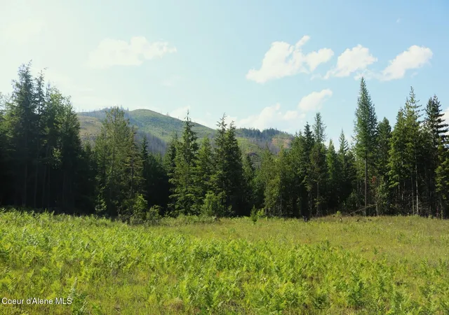 1st image of Nka Slippery Slope Trl, Priest River, ID 83856 | MLS# 26-2717