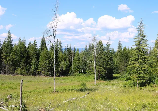 2nd image of Nka Slippery Slope Trl, Priest River, ID 83856 | MLS# 26-2717