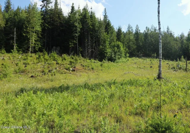 3rd image of Nka Slippery Slope Trl, Priest River, ID 83856 | MLS# 26-2717