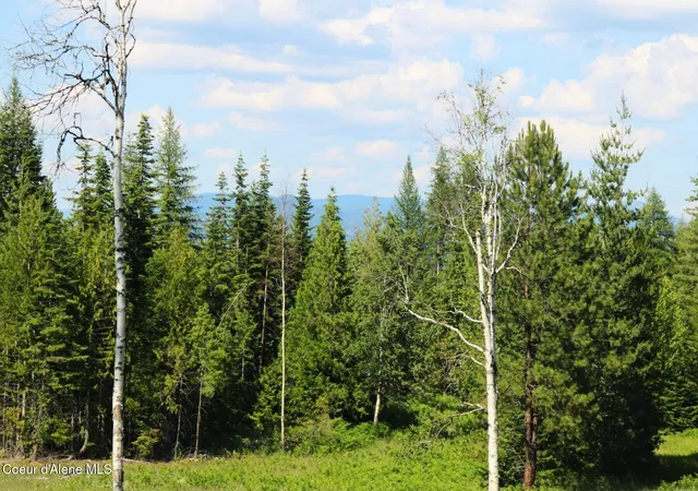 4th image of Nka Slippery Slope Trl, Priest River, ID 83856 | MLS# 26-2717