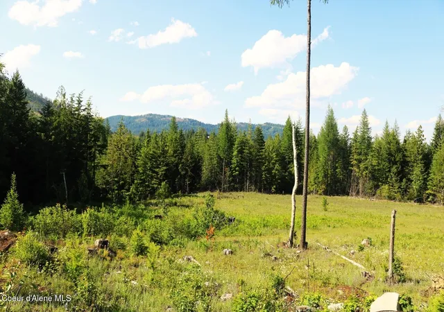 5th image of Nka Slippery Slope Trl, Priest River, ID 83856 | MLS# 26-2717