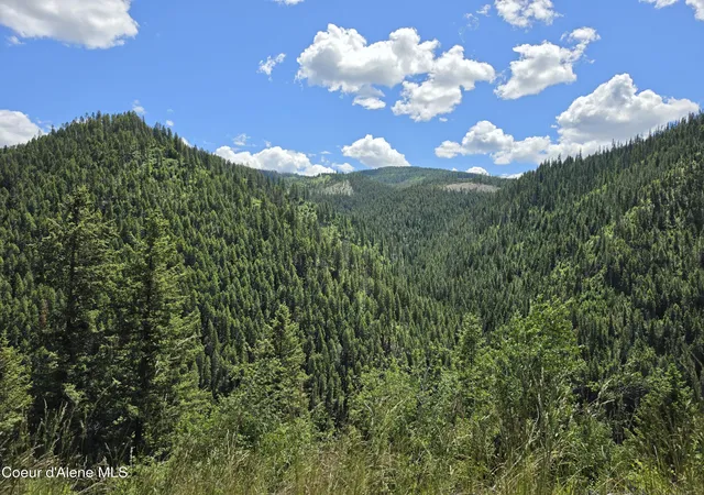 3rd image of 480 Dunn Peak Rd, Avery, ID 83802 | MLS# 26-2771