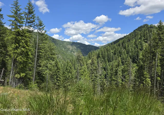 4th image of 480 Dunn Peak Rd, Avery, ID 83802 | MLS# 26-2771