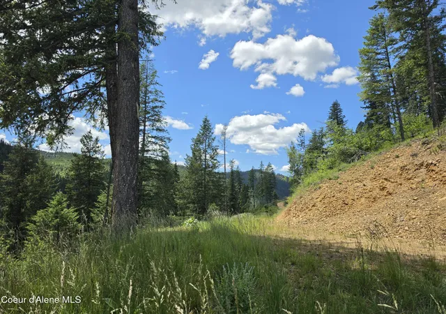 5th image of 480 Dunn Peak Rd, Avery, ID 83802 | MLS# 26-2771