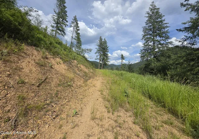 Homes for sale in Avery, ID | 480 Dunn Peak Rd, Avery, ID 83802 | MLS# 26-2771