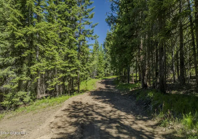 1st image of Tbd Kreiger Creek Rd Lot 2, Careywood, ID 83809 | MLS# 26-2799