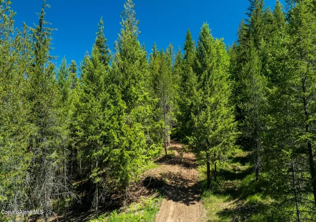 4th image of Tbd Kreiger Creek Rd Lot 2, Careywood, ID 83809 | MLS# 26-2799