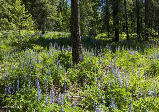 5th image of Tbd Kreiger Creek Rd Lot 2, Careywood, ID 83809 | MLS# 26-2799