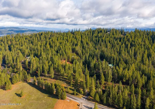 2nd image of 14058 S Carlin Bay Rd, Harrison, ID 83833 | MLS# 26-2854