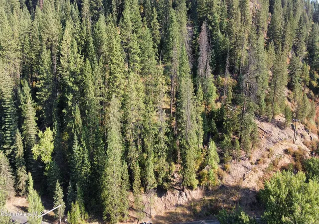 Photo 3 of Sale Pending at Nka St Maries River Rd, Saint Maries, ID 83861 | MLS# 26-2818 | Listing updated on 2026-09-29