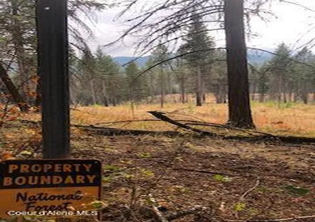 57th image of 16318 E Alder Creek Rd, Coeur D'alene, ID 83814 | MLS# 26-2823