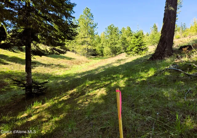 5th image of Nka E Emerald Dr, Harrison, ID 83833 | MLS# 26-2952