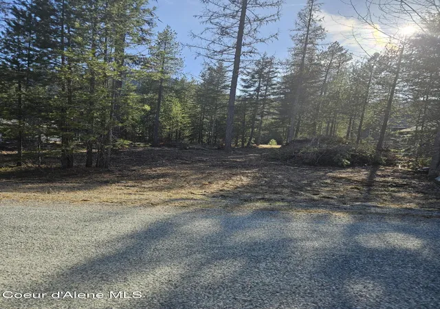 Photo 3 of Land for sale at Nna N Ryan Rd, Priest Lake, ID 83856 | MLS# 26-2846 | Listing updated on 2026-07-27
