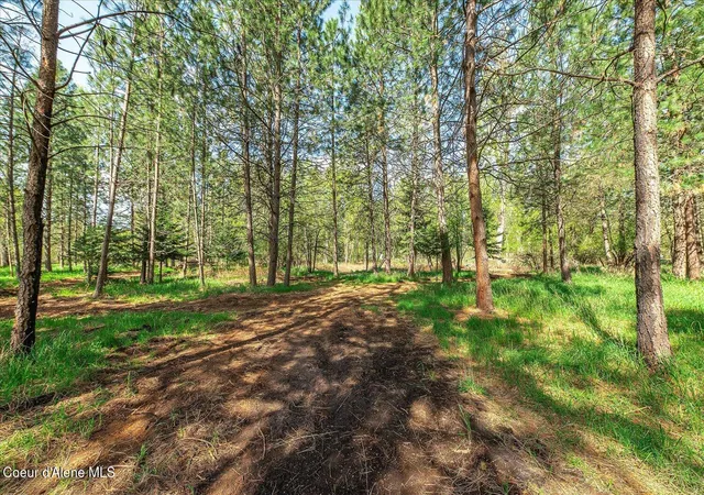 5th image of 36524 E Canyon Rd, Cataldo, ID 83810 | MLS# 26-2972