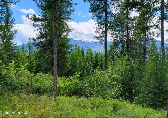 Homes for sale in Bonners Ferry, ID | Bootlegger Lane  Parcel 1, Bonners Ferry, ID 83805 | MLS# 26-3047