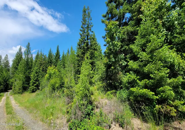 Homes for sale in Bonners Ferry, ID | Bootlegger Lane- Parcel 1, Bonners Ferry, ID 83805 | MLS# 26-3047